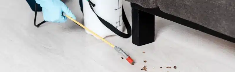 pest control vs. exterminator las vegas nv