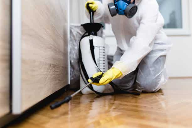 Where Does Pest Control Spray in Apartments in Las Vegas
