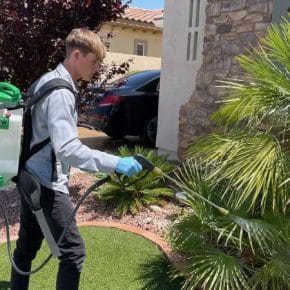 Pest Control Costs