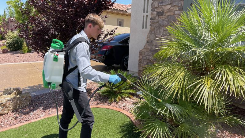 Pest Control Costs