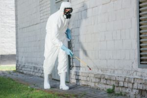 Pest control in Mountains Edge and Las Vegas