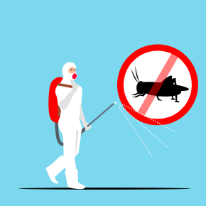 Insect control