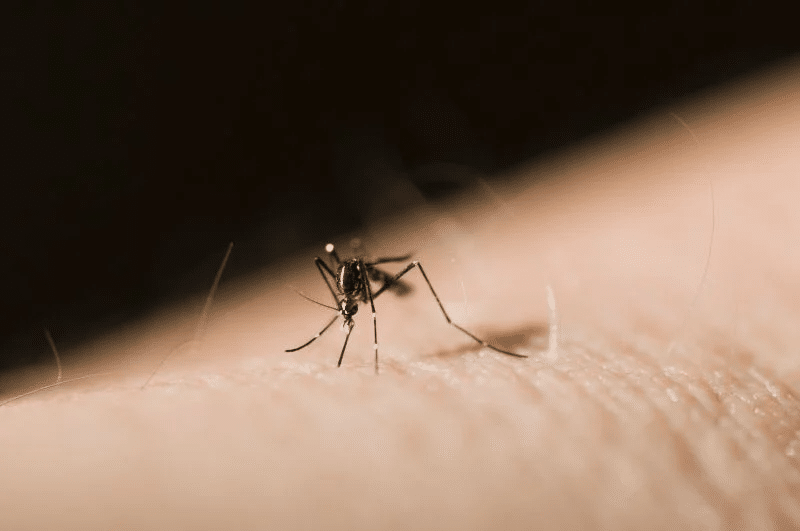 Mosquito Control Awareness Week