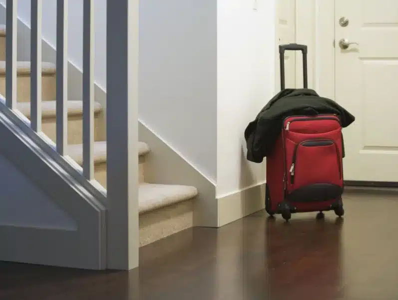 Pest Control Door Sweep