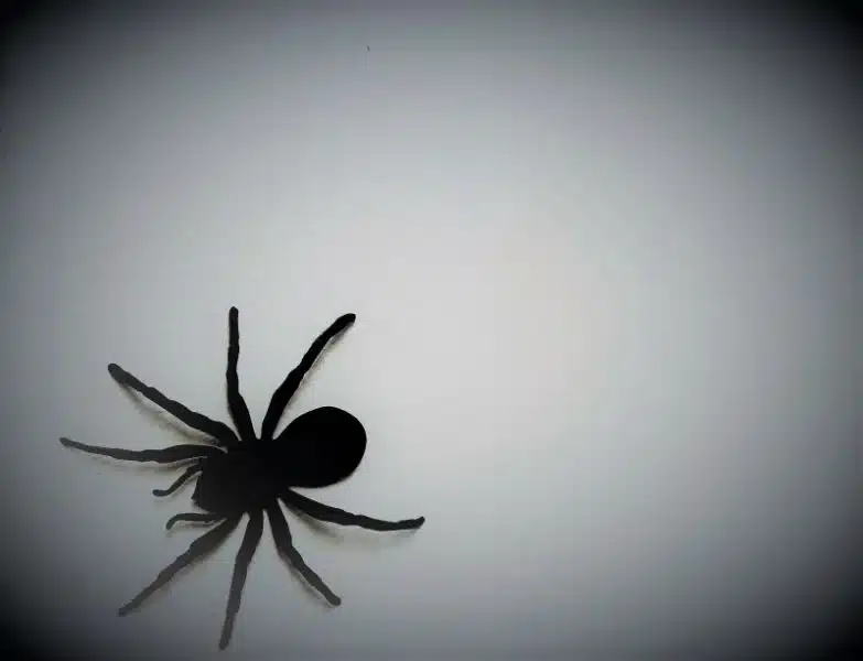 black widow
