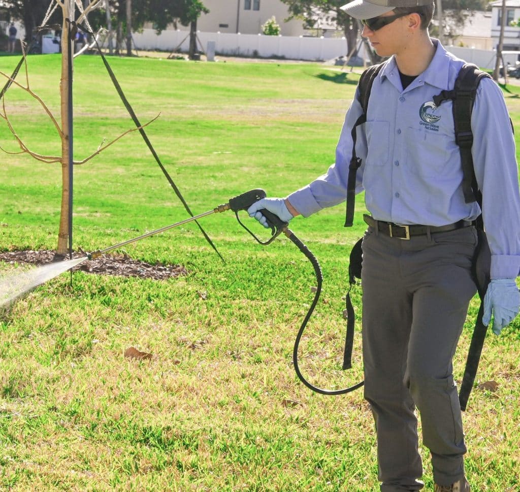 Pest Control Services in Florida | Green Wave Pest Solutions