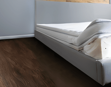 Bed Bug removal