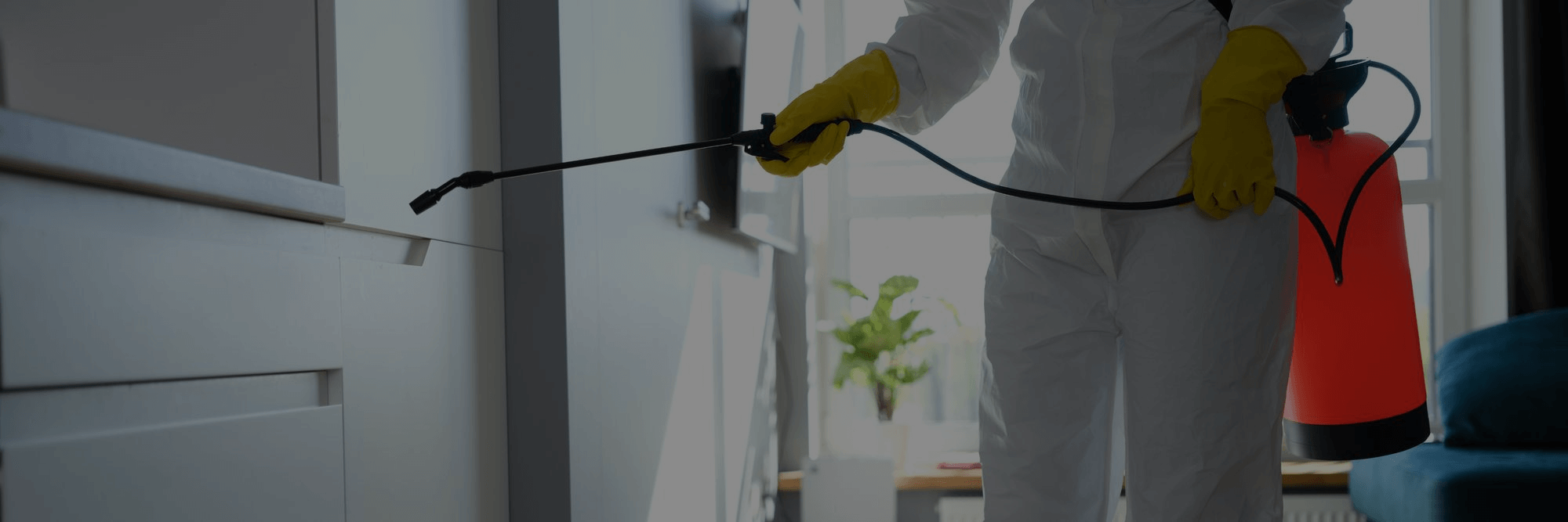 What’s the Difference Between Pest Control and Pest Extermination