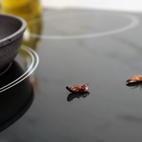 How-To-Control-Cockroaches-scaled