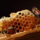 bee-beehive-wooden